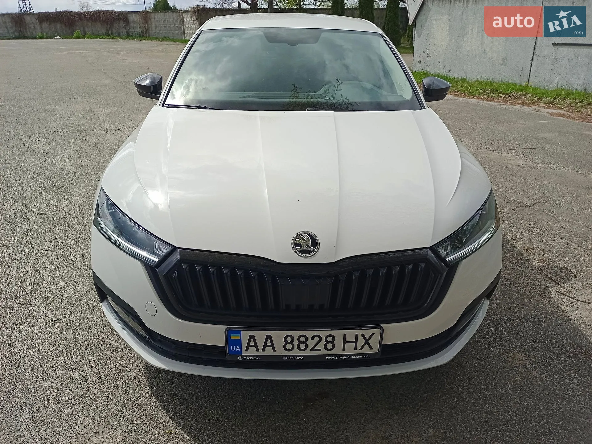 2023 Skoda Octavia - фото 1