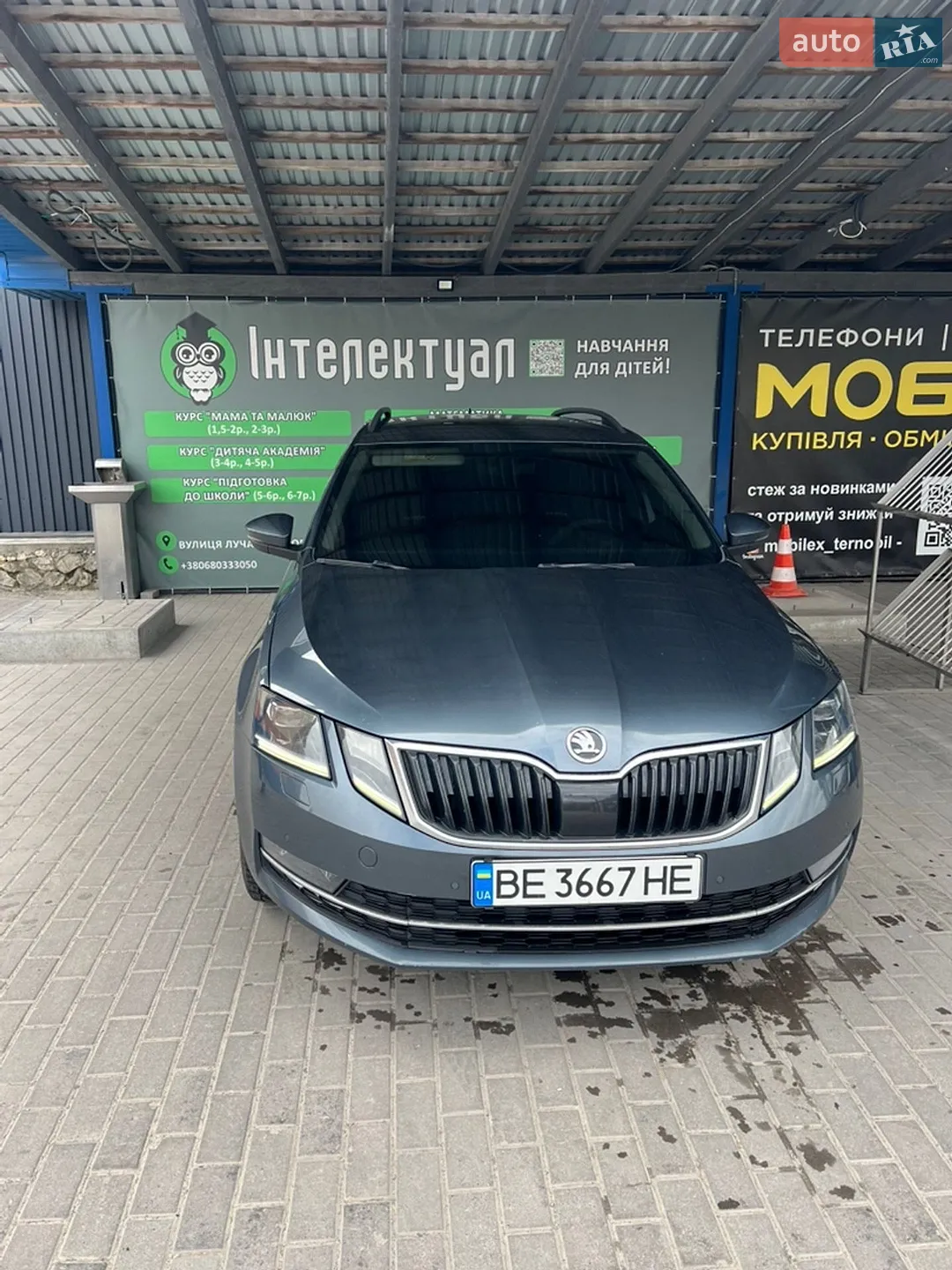 2017 Skoda Octavia - фото 1