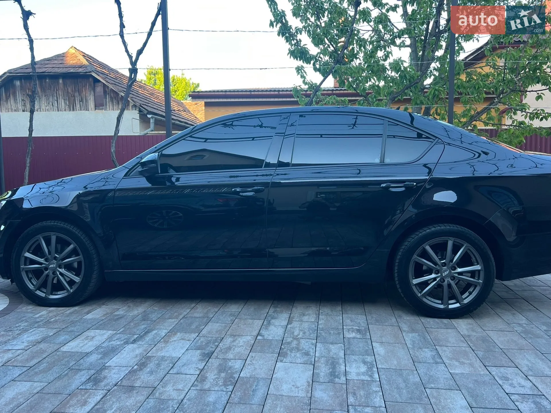 2019 Skoda Octavia - мініатюра 3
