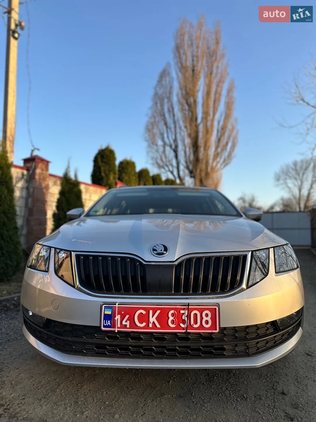 2019 Skoda Octavia - мініатюра 51