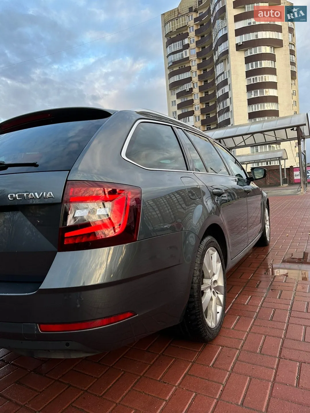 2018 Skoda Octavia - мініатюра 33