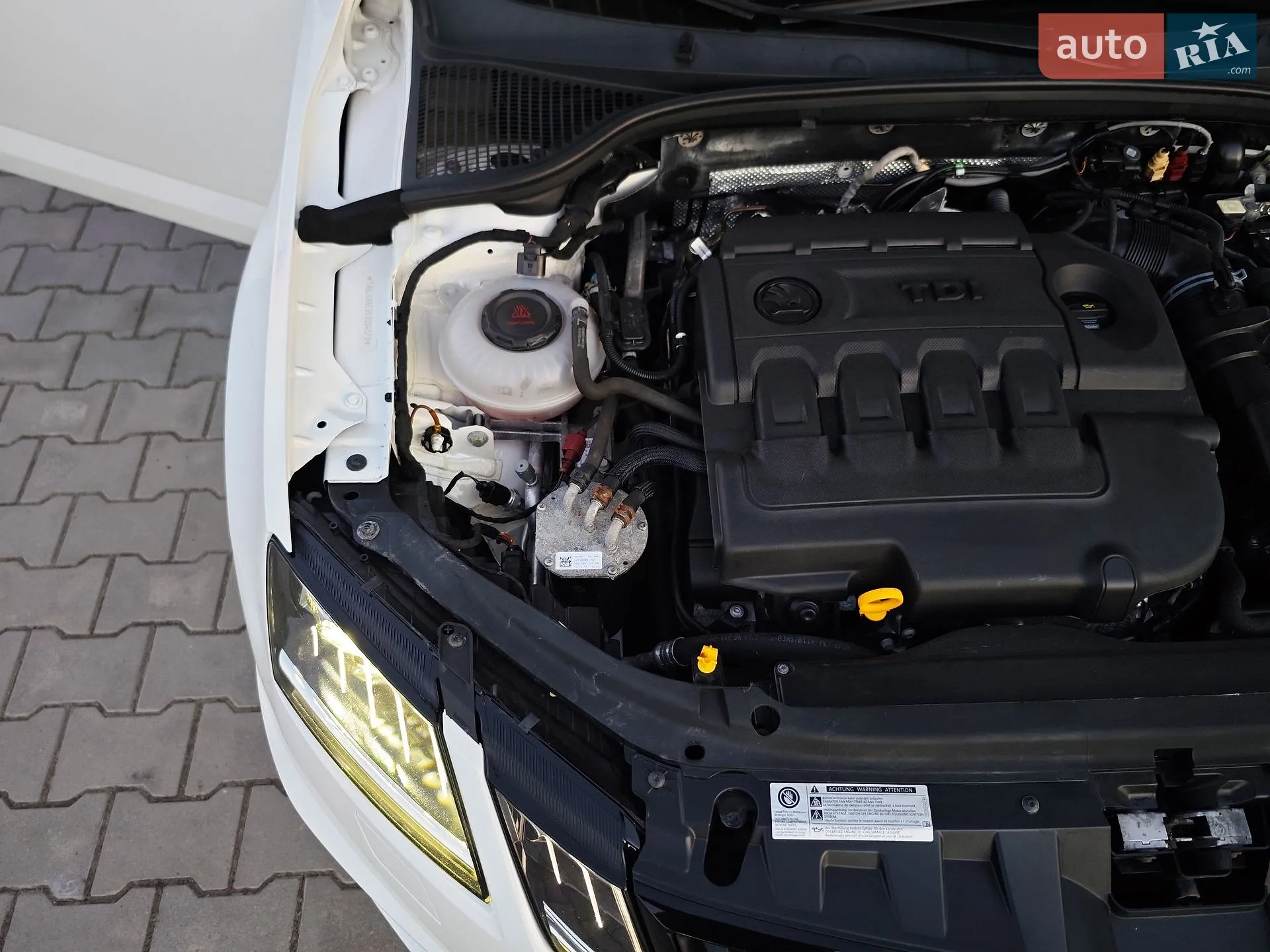 2019 Skoda Octavia - мініатюра 131