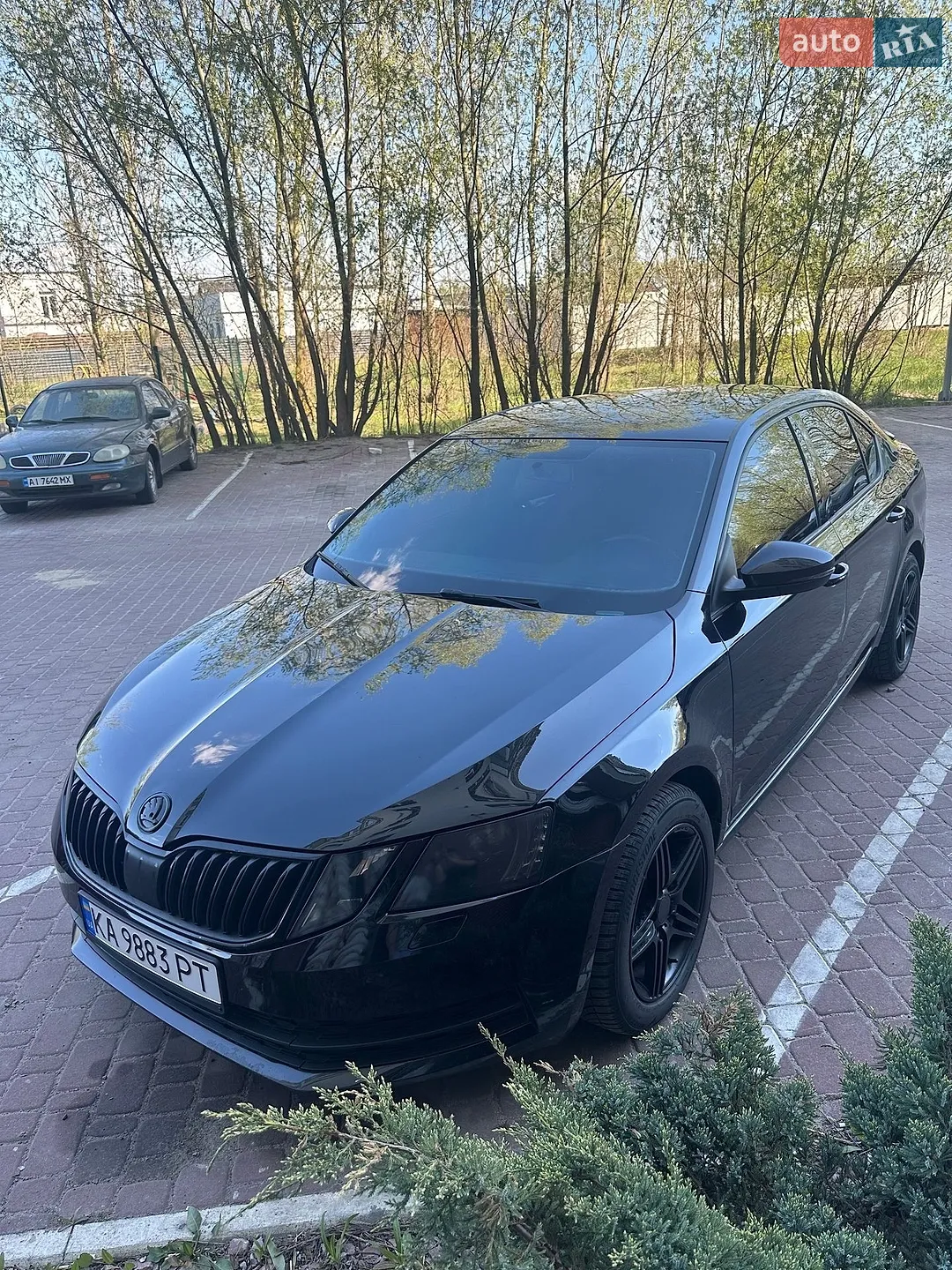2017 Skoda Octavia - мініатюра 6