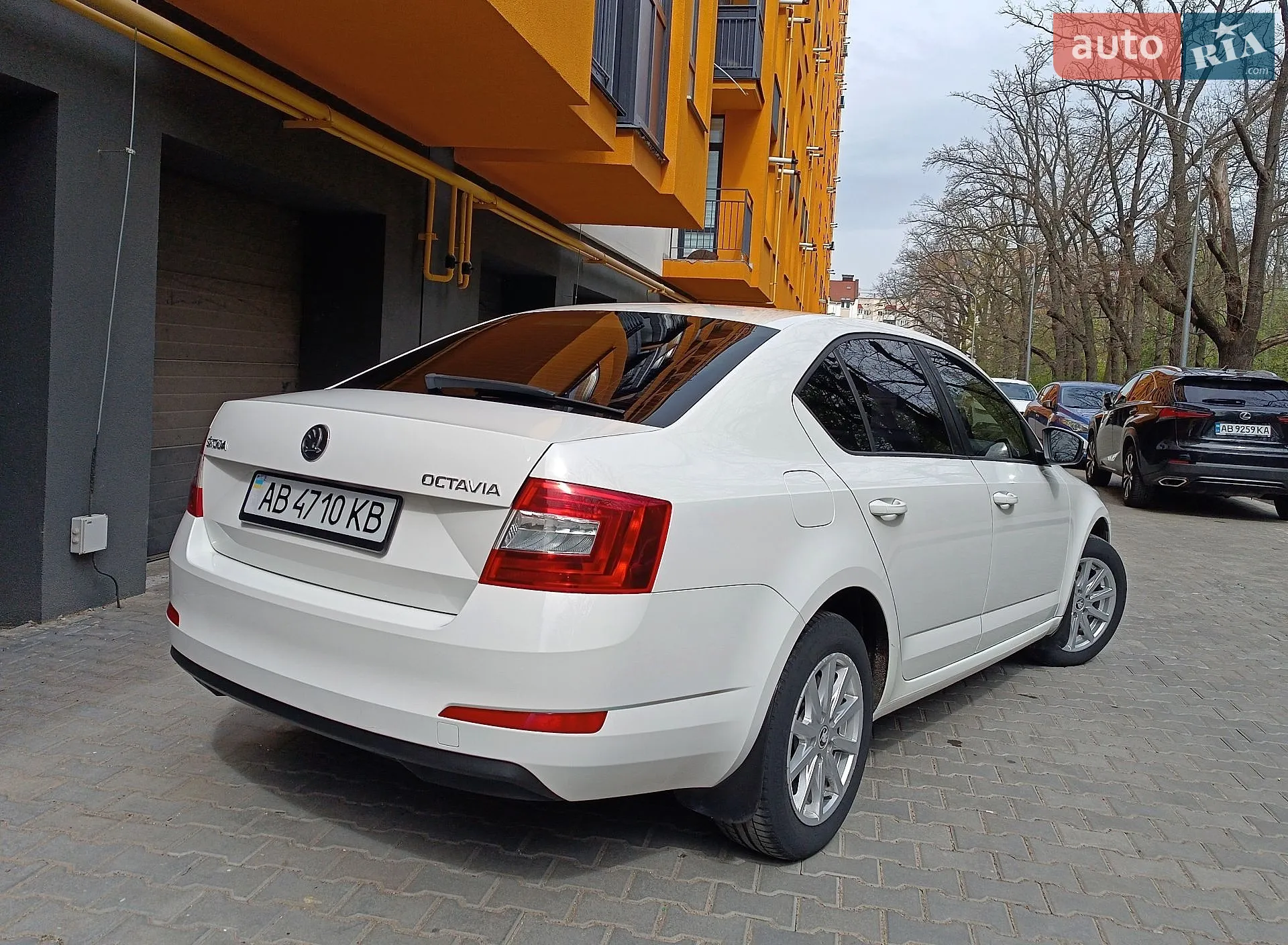 2013 Skoda Octavia - мініатюра 7