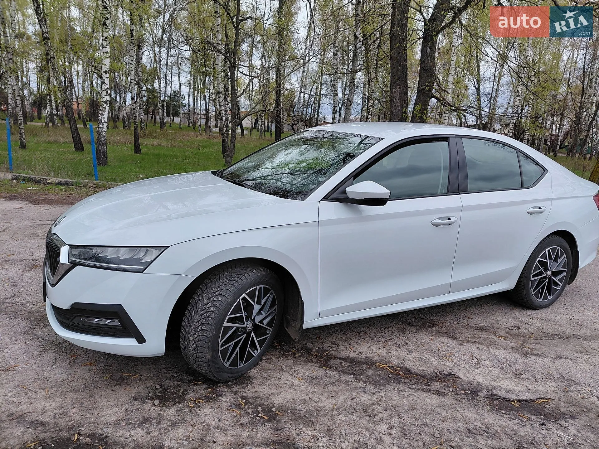 2020 Skoda Octavia - мініатюра 4