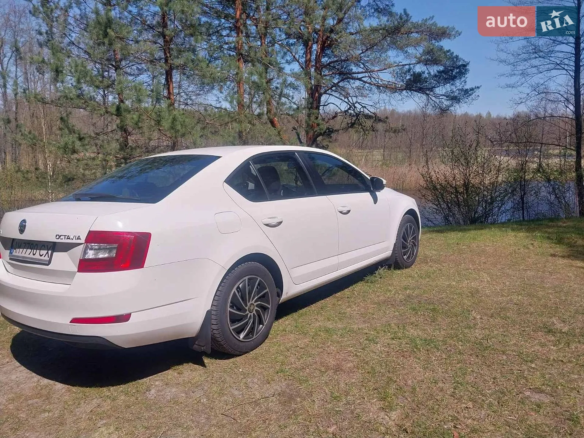 2015 Skoda Octavia - мініатюра 4