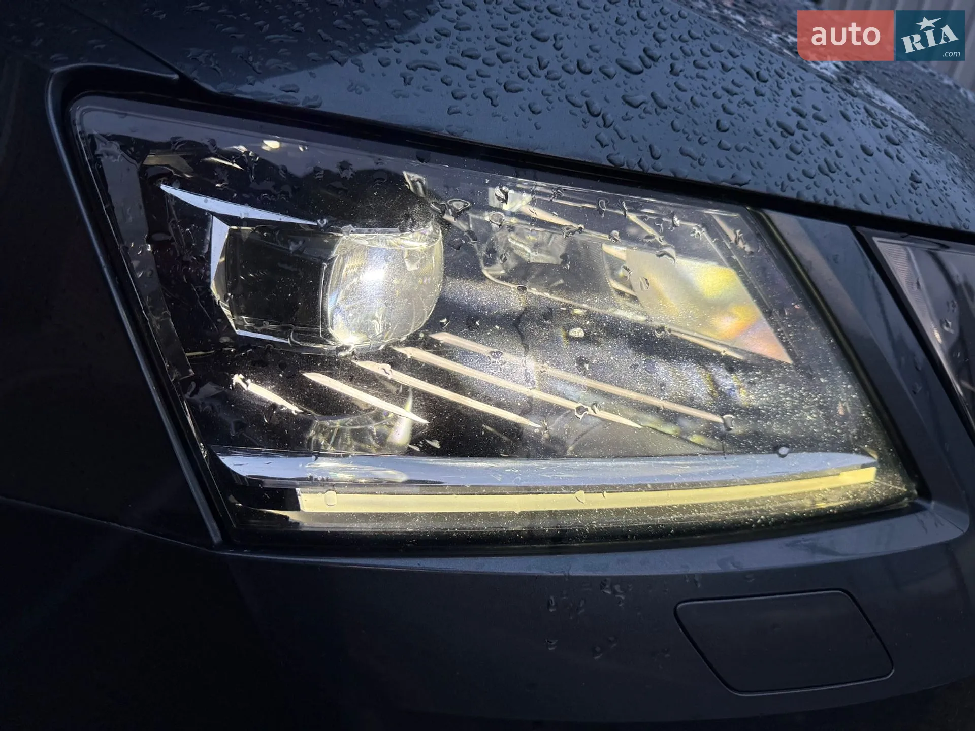 2019 Skoda Octavia - мініатюра 6