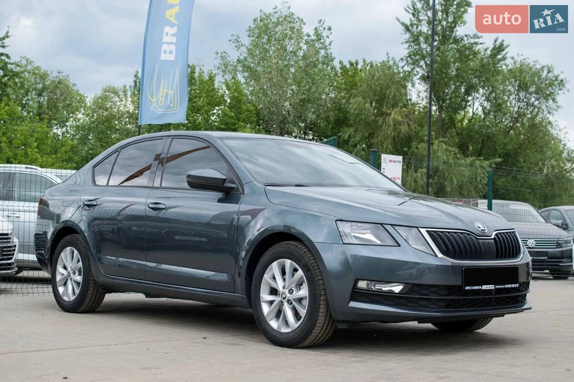 2019 Skoda Octavia - мініатюра 3