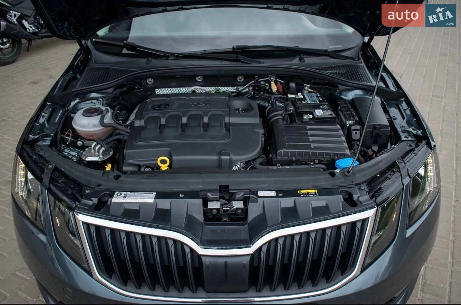 2019 Skoda Octavia - мініатюра 26