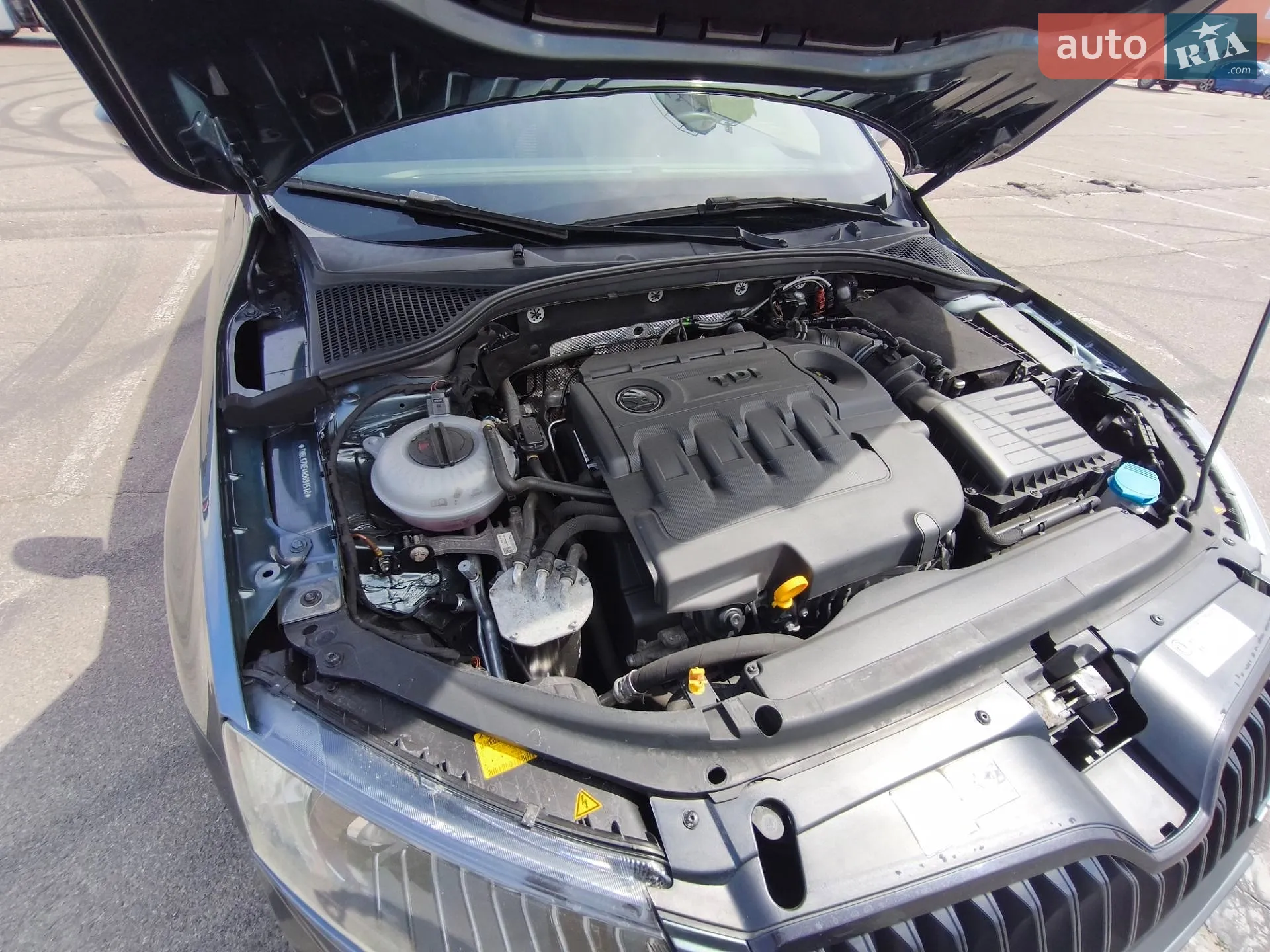 2016 Skoda Octavia - мініатюра 12