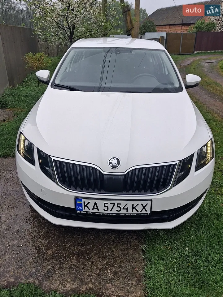 2017 Skoda Octavia - мініатюра 31