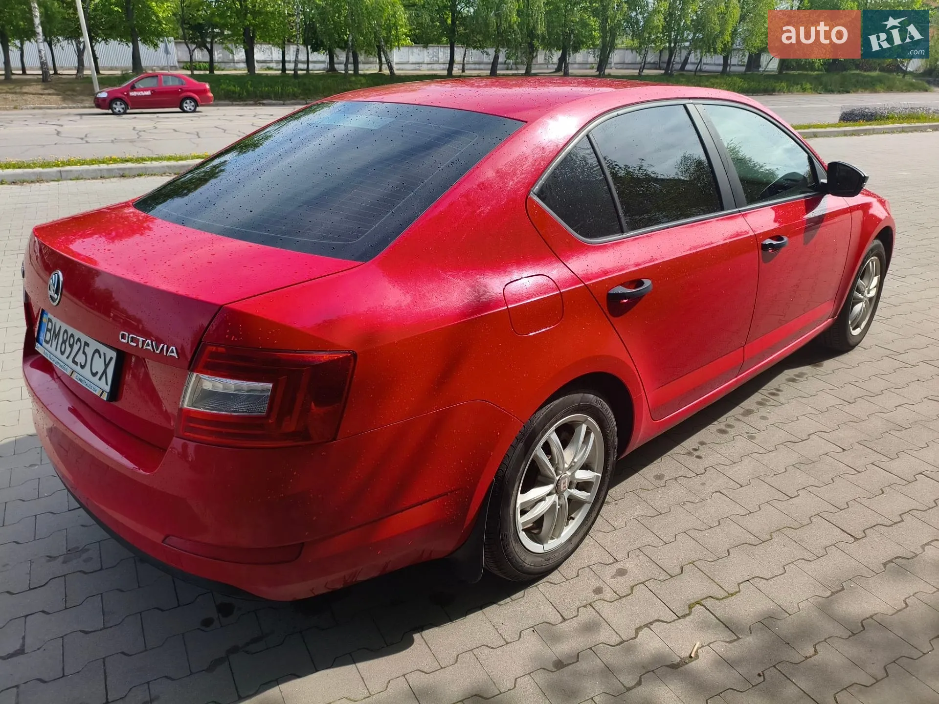 2014 Skoda Octavia - мініатюра 5