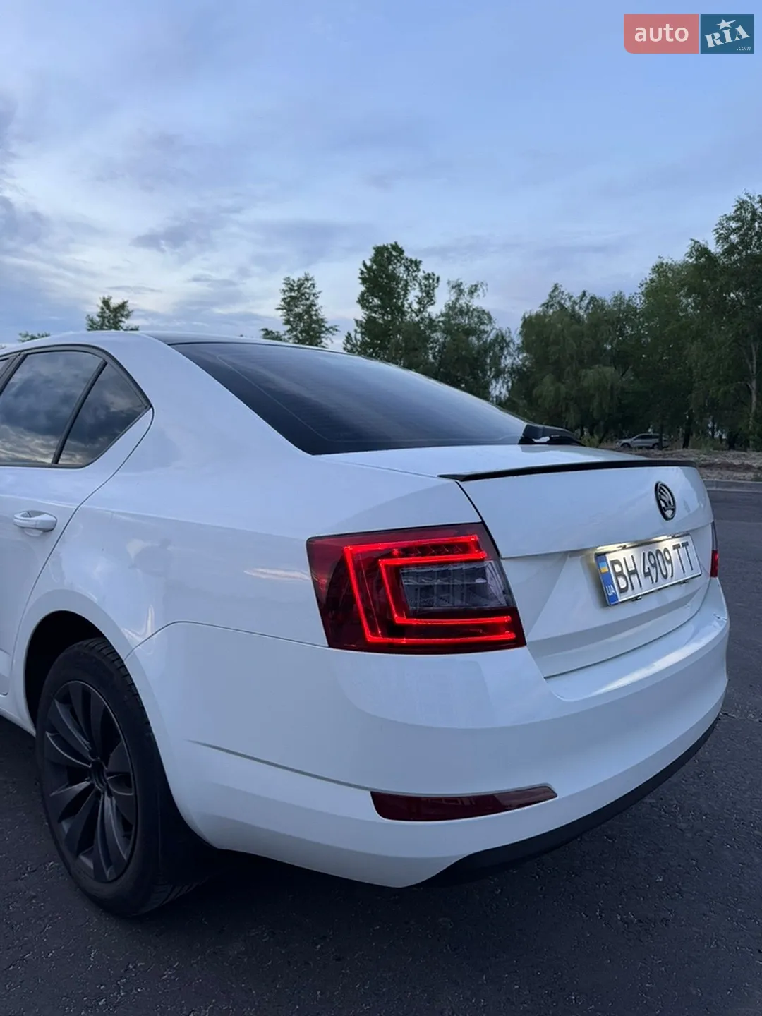 2013 Skoda Octavia - мініатюра 9