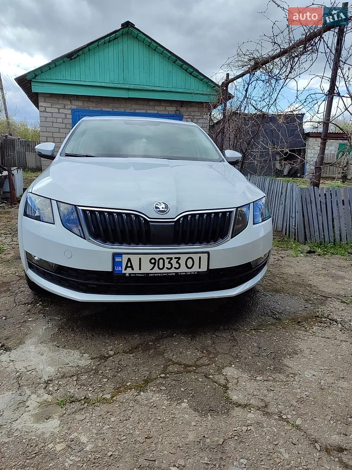 2017 Skoda Octavia - мініатюра 11