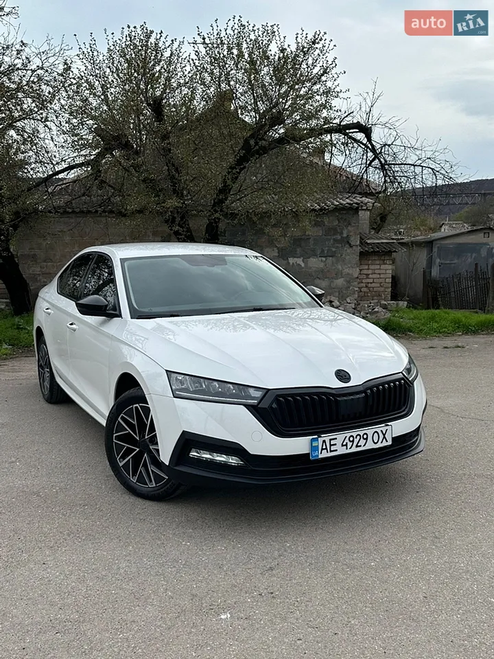 2019 Skoda Octavia - мініатюра 11