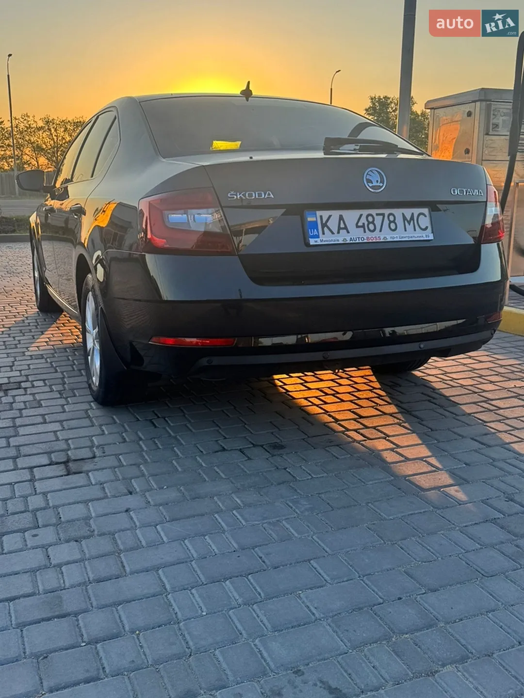 2020 Skoda Octavia - мініатюра 6