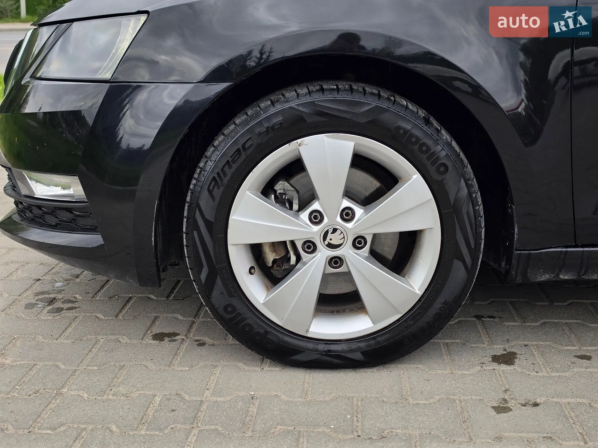 2018 Skoda Octavia - мініатюра 40