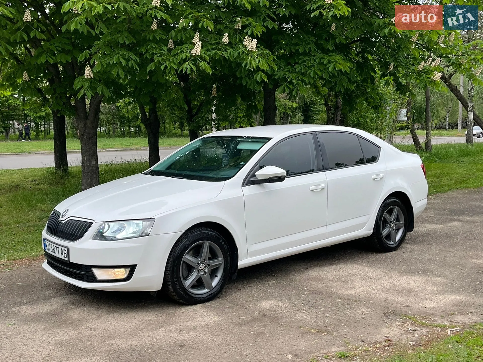 2013 Skoda Octavia - мініатюра 3