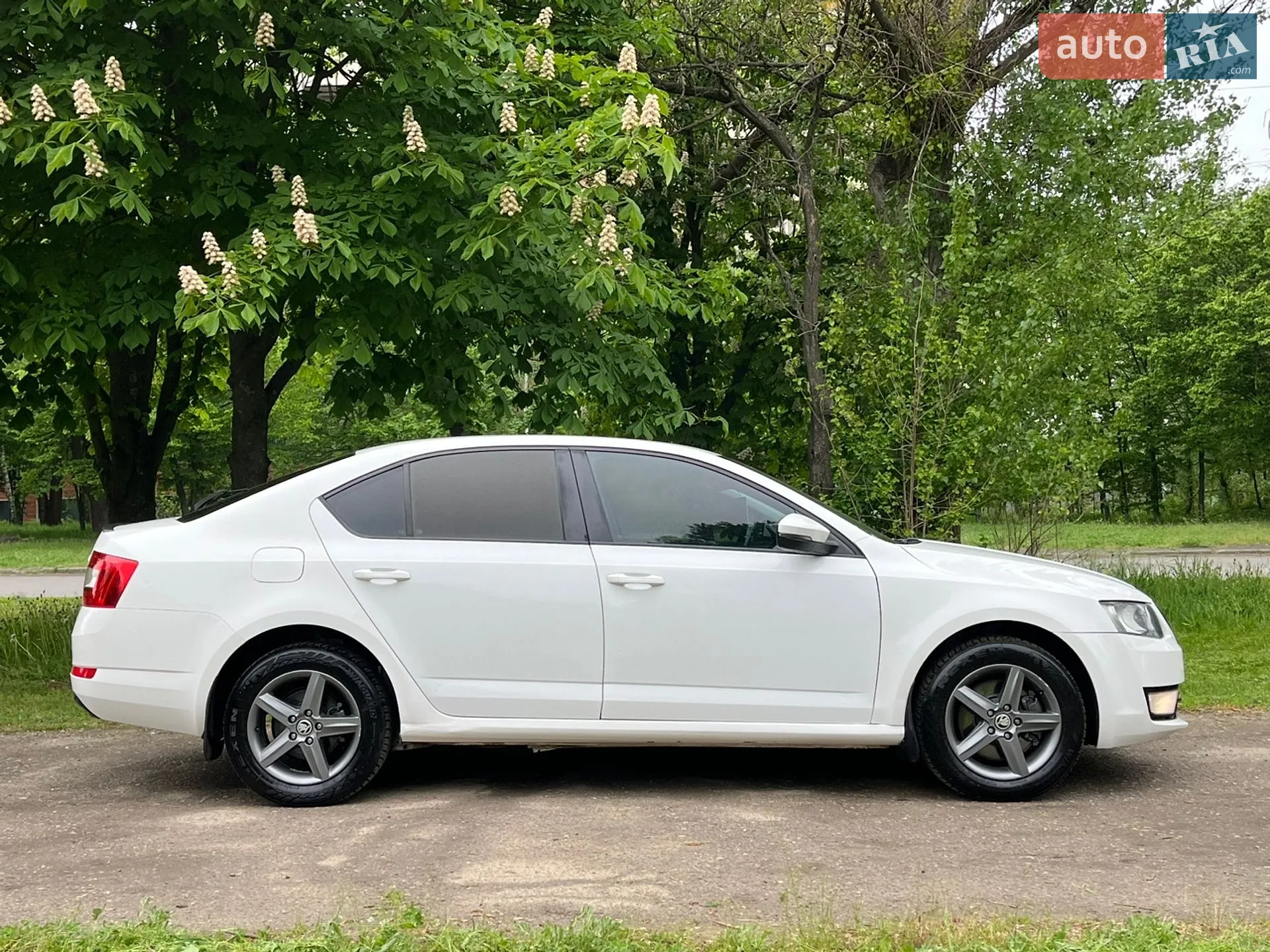 2013 Skoda Octavia - мініатюра 5
