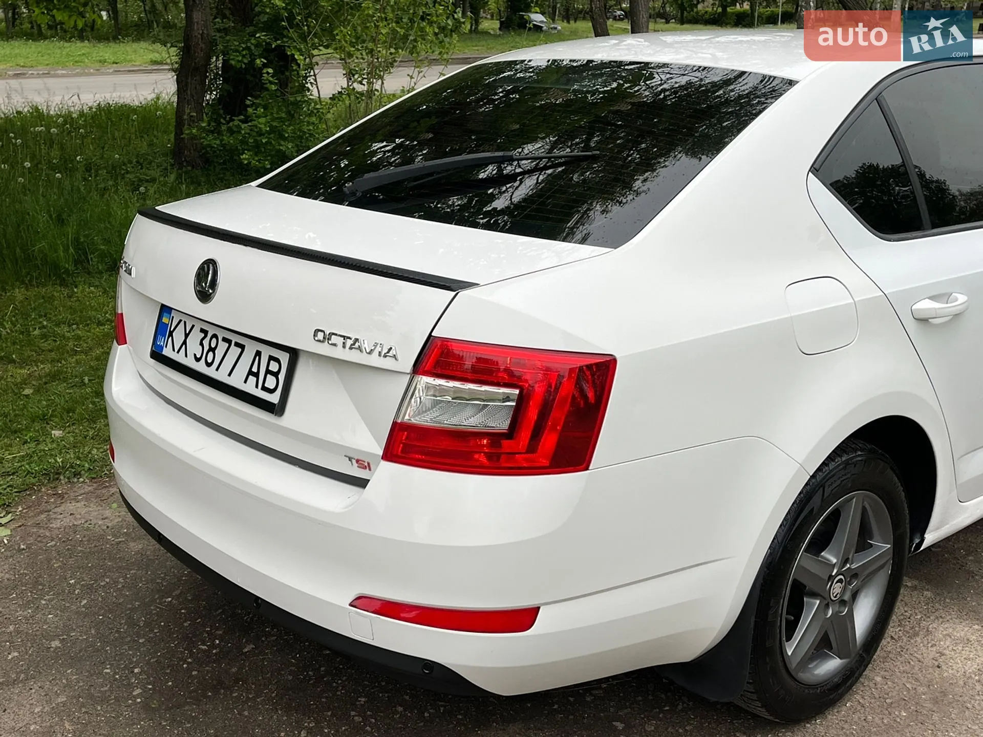 2013 Skoda Octavia - мініатюра 13