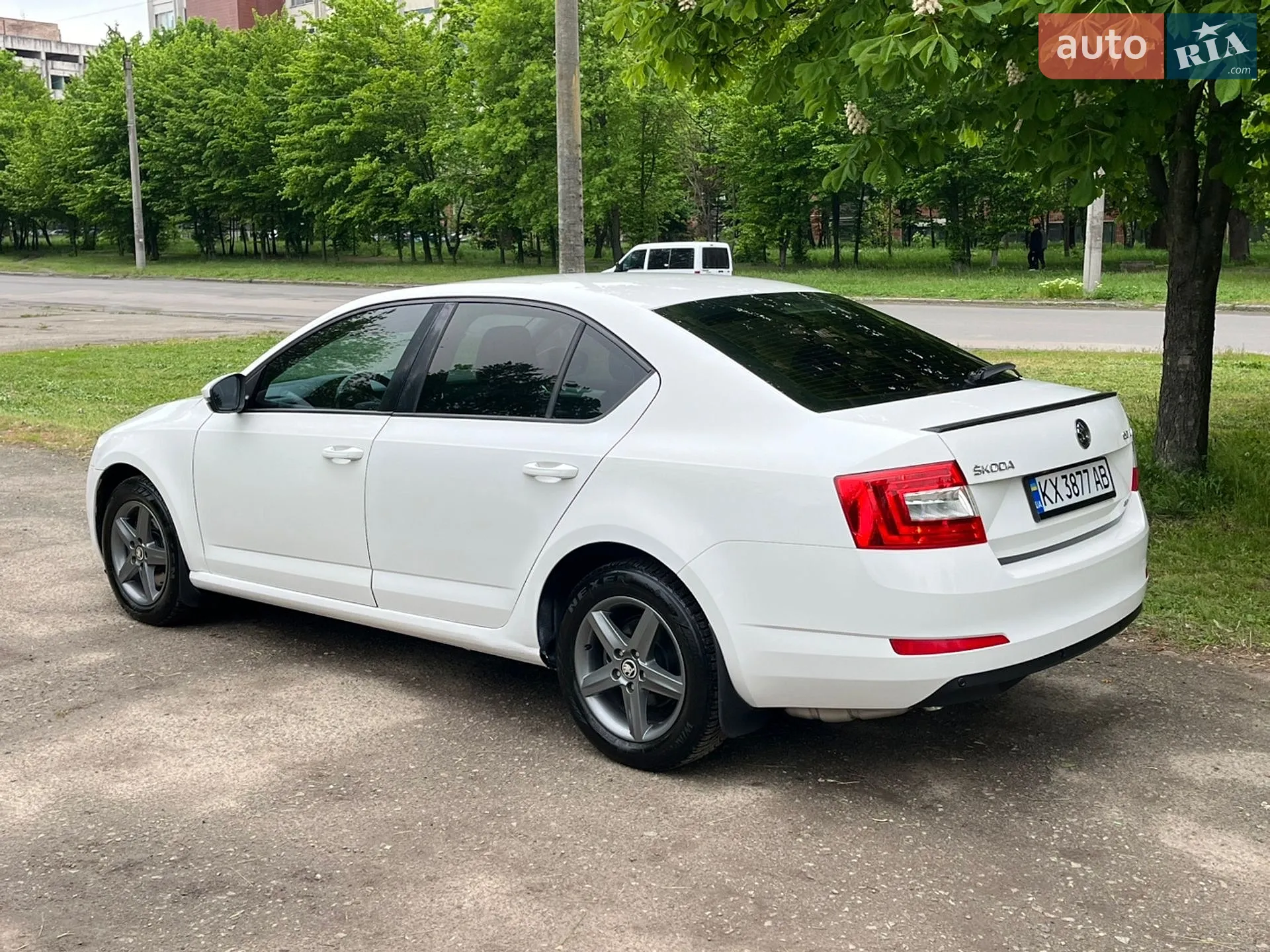 2013 Skoda Octavia - мініатюра 9