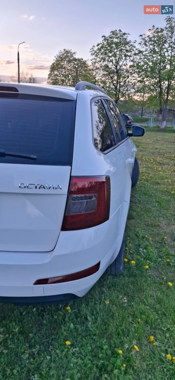 2014 Skoda Octavia - мініатюра 10