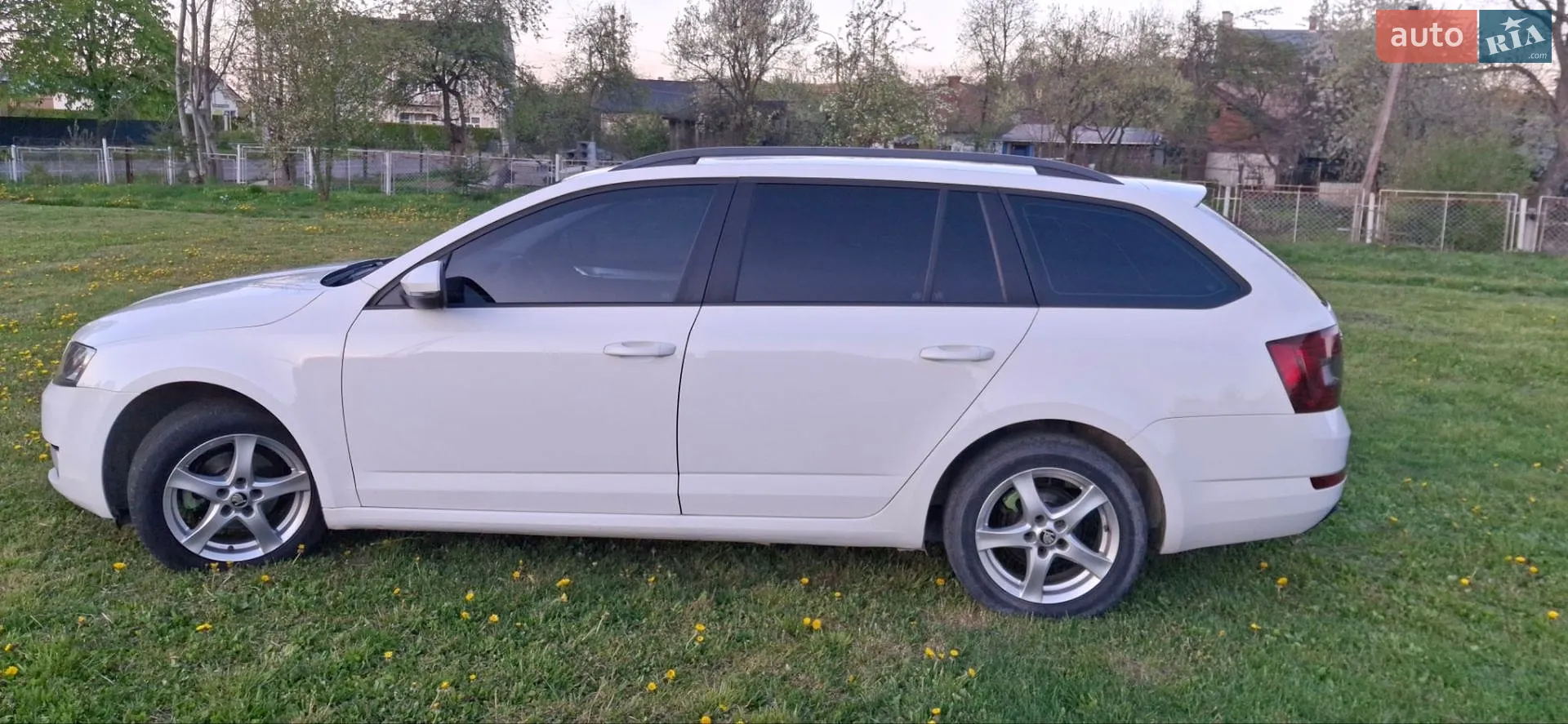 2014 Skoda Octavia - мініатюра 22