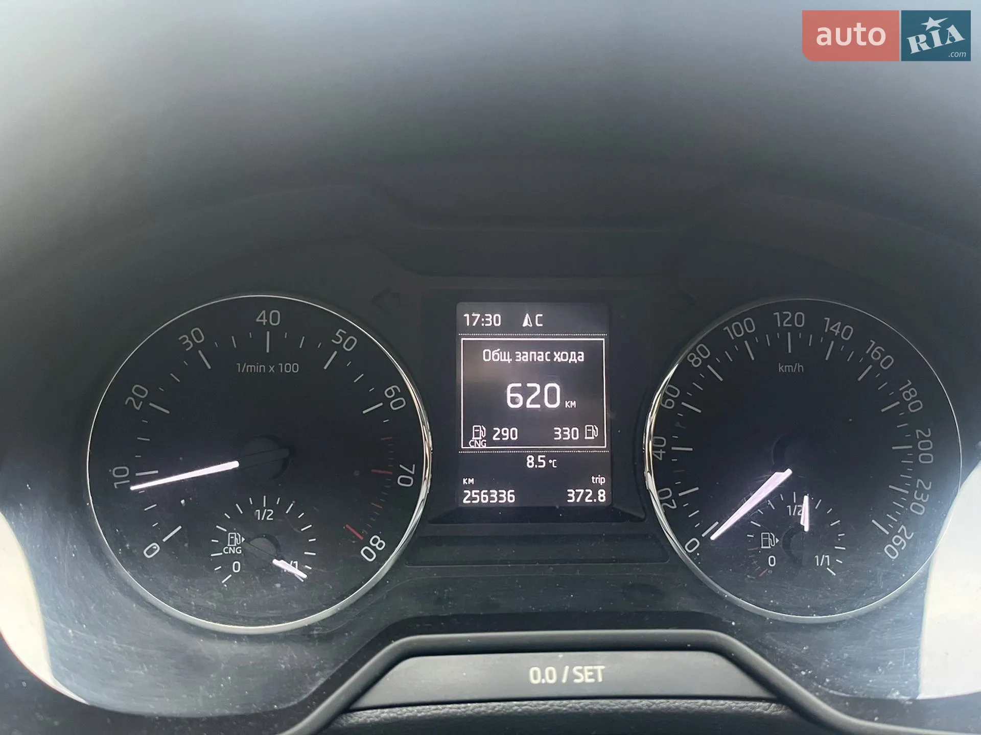 2015 Skoda Octavia - мініатюра 8