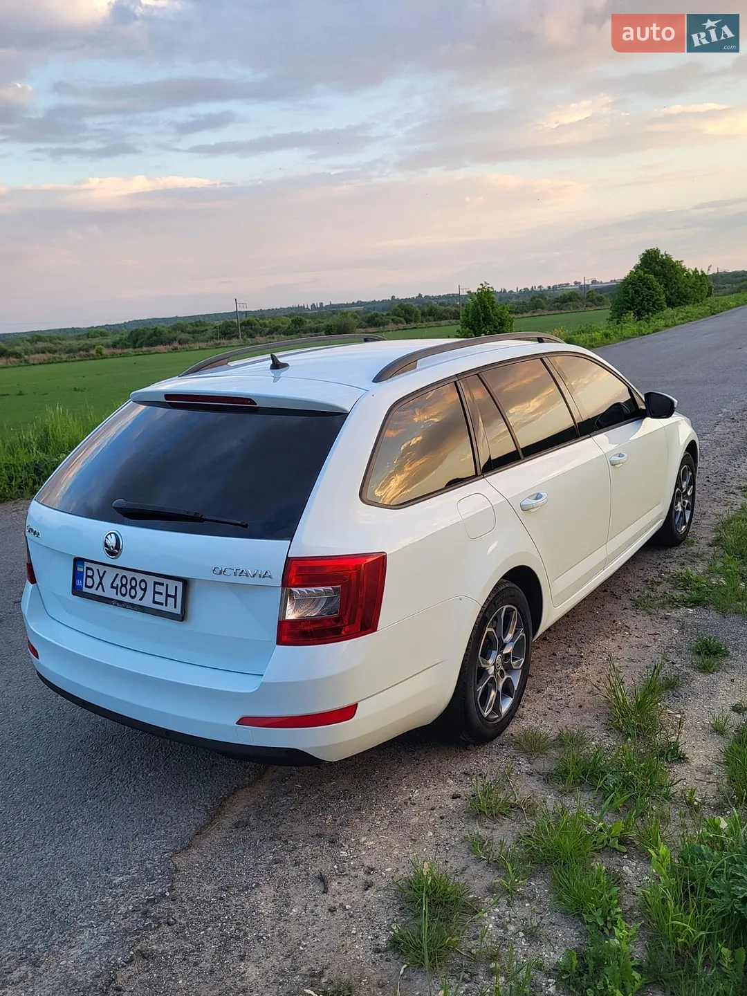 2015 Skoda Octavia - мініатюра 22