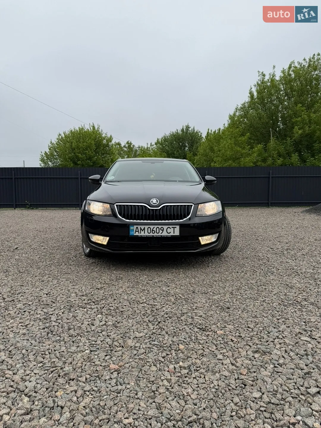 2015 Skoda Octavia - мініатюра 2