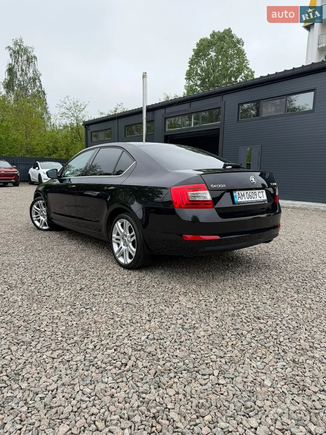 2015 Skoda Octavia - мініатюра 7