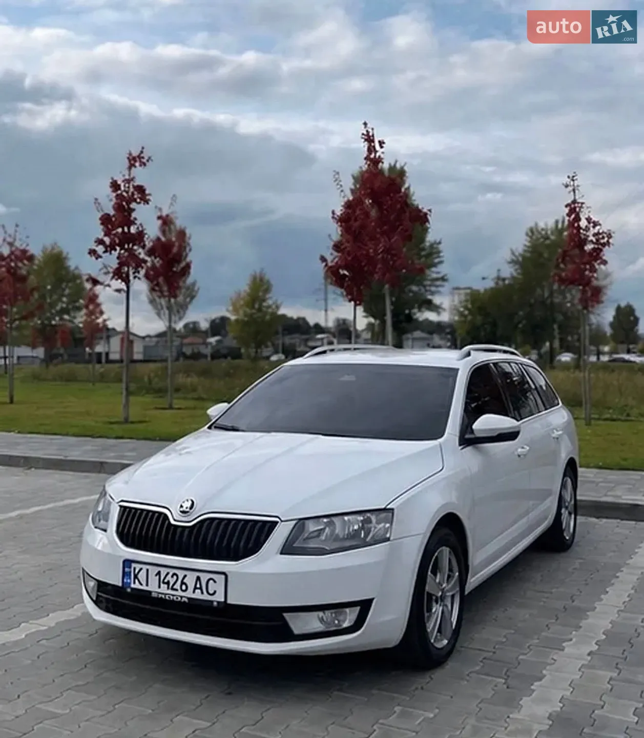 2014 Skoda Octavia - фото 1