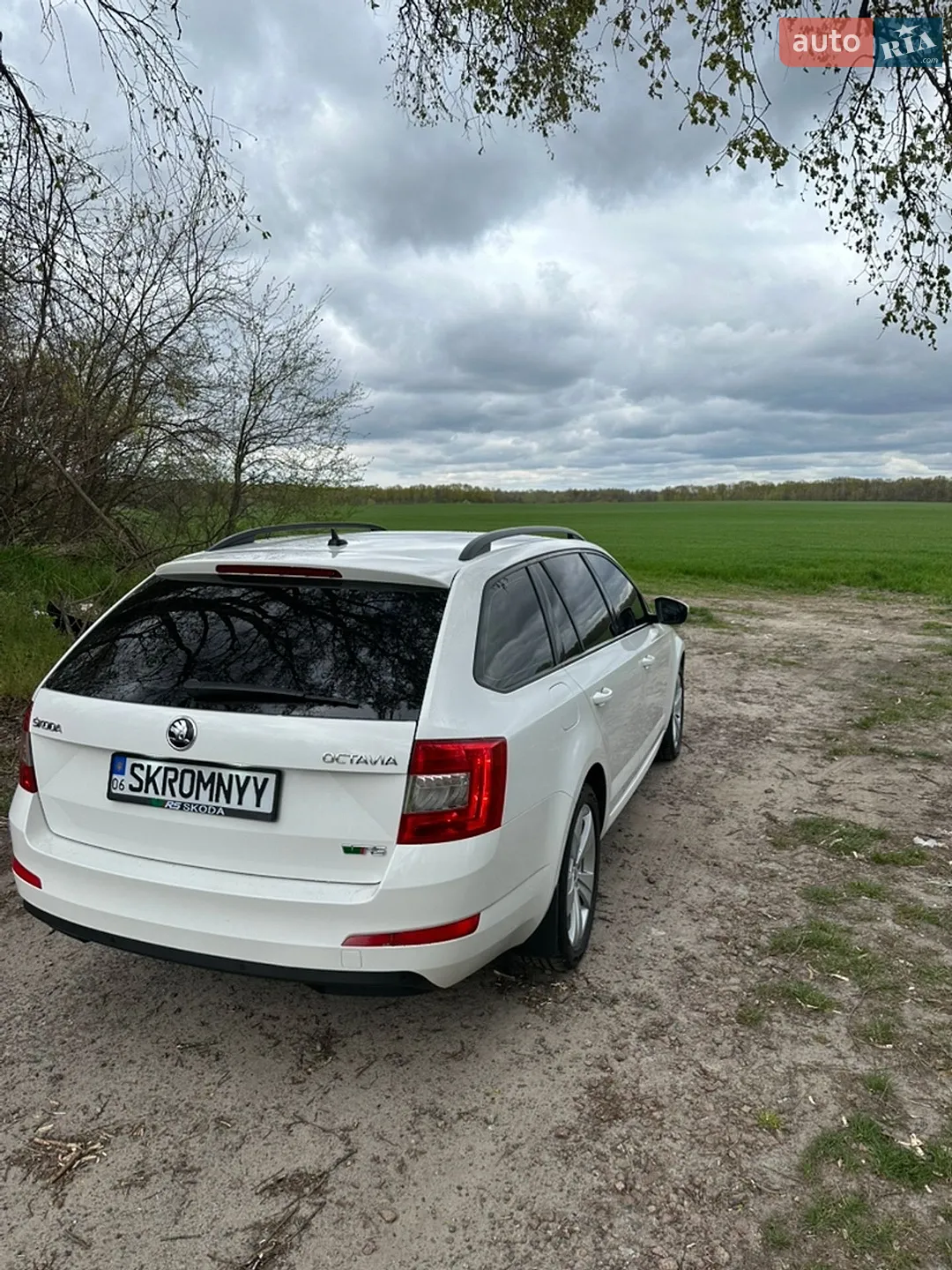 2015 Skoda Octavia - мініатюра 2