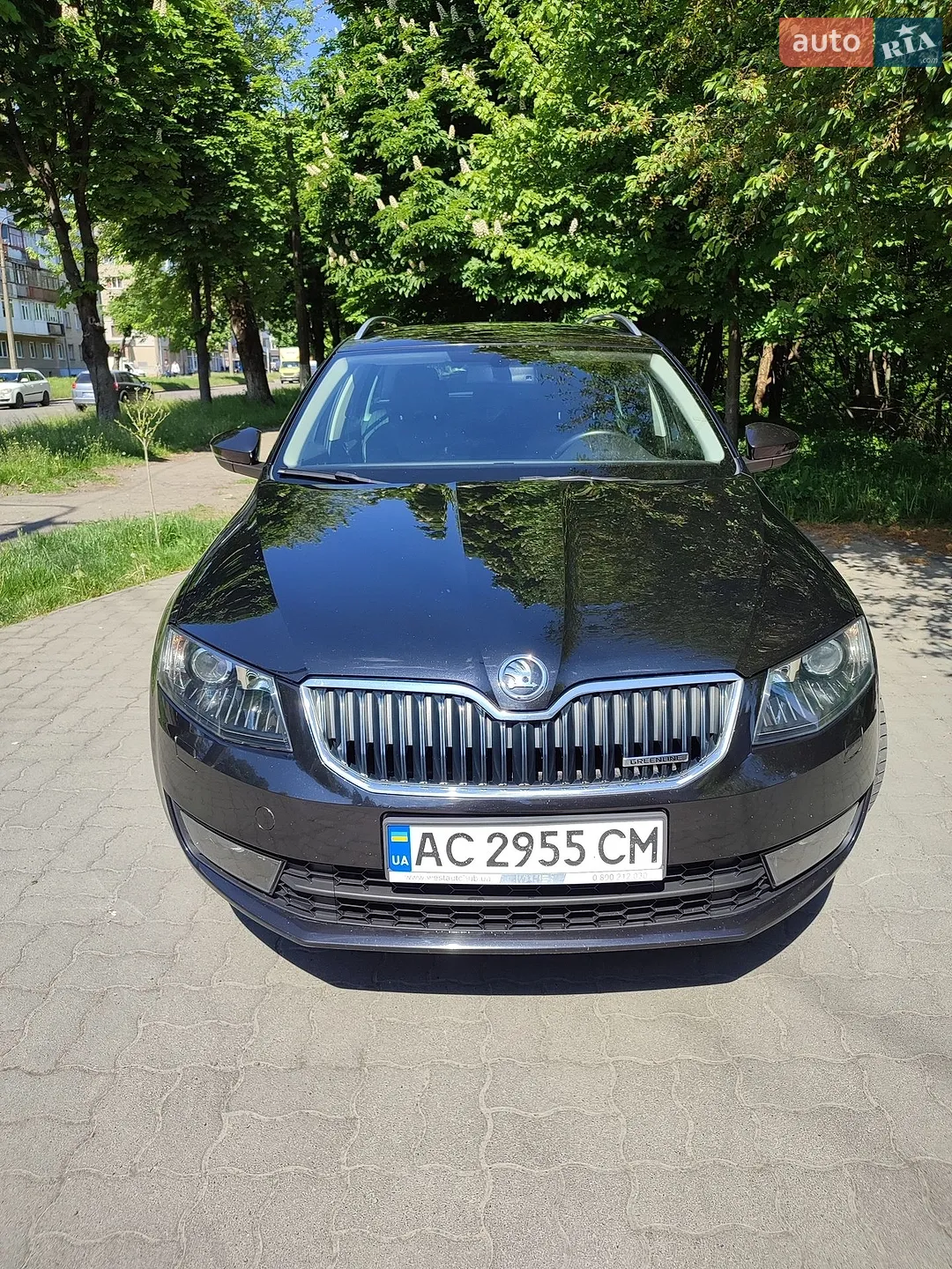 2014 Skoda Octavia - мініатюра 13