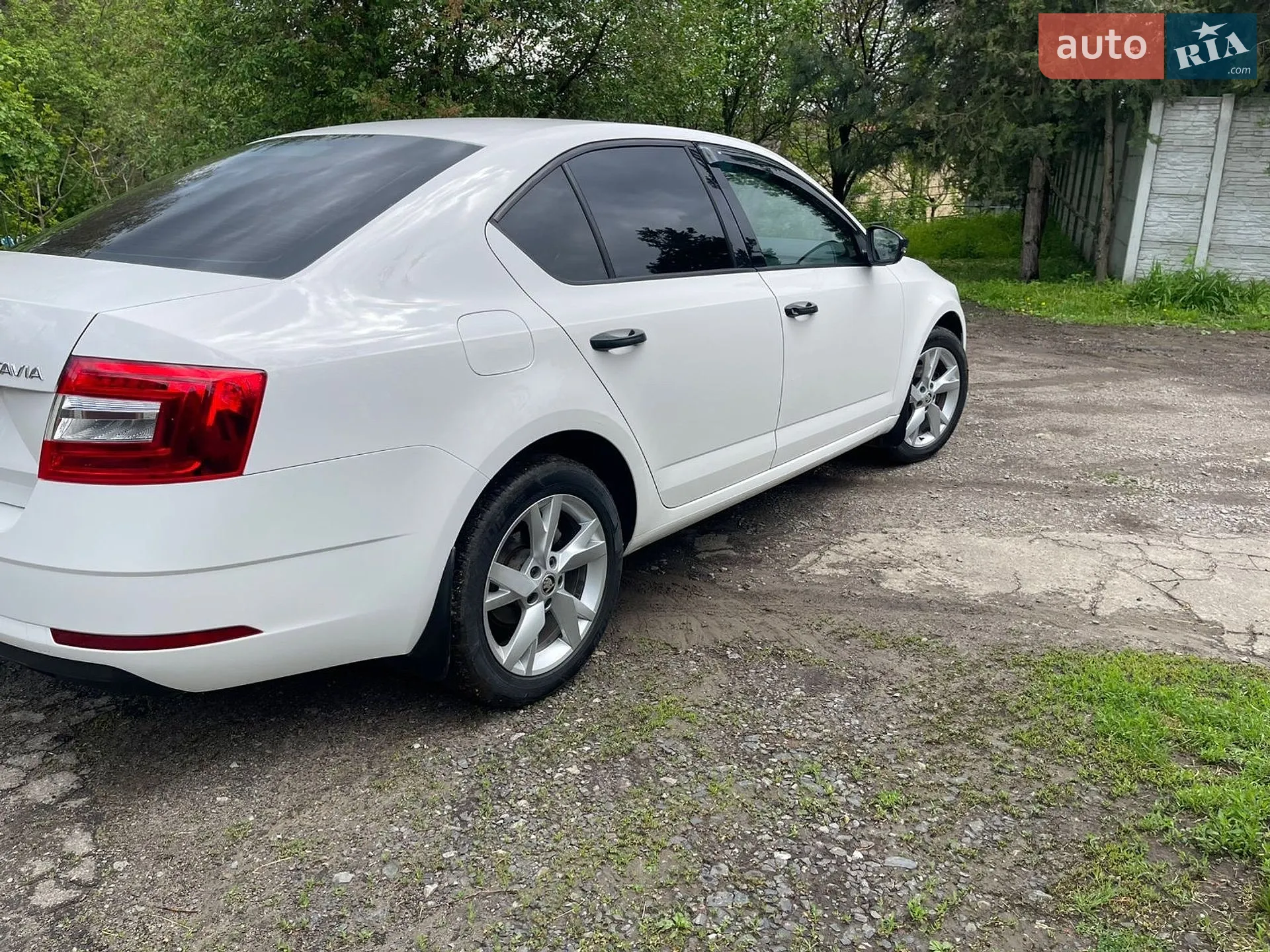 2017 Skoda Octavia - мініатюра 8