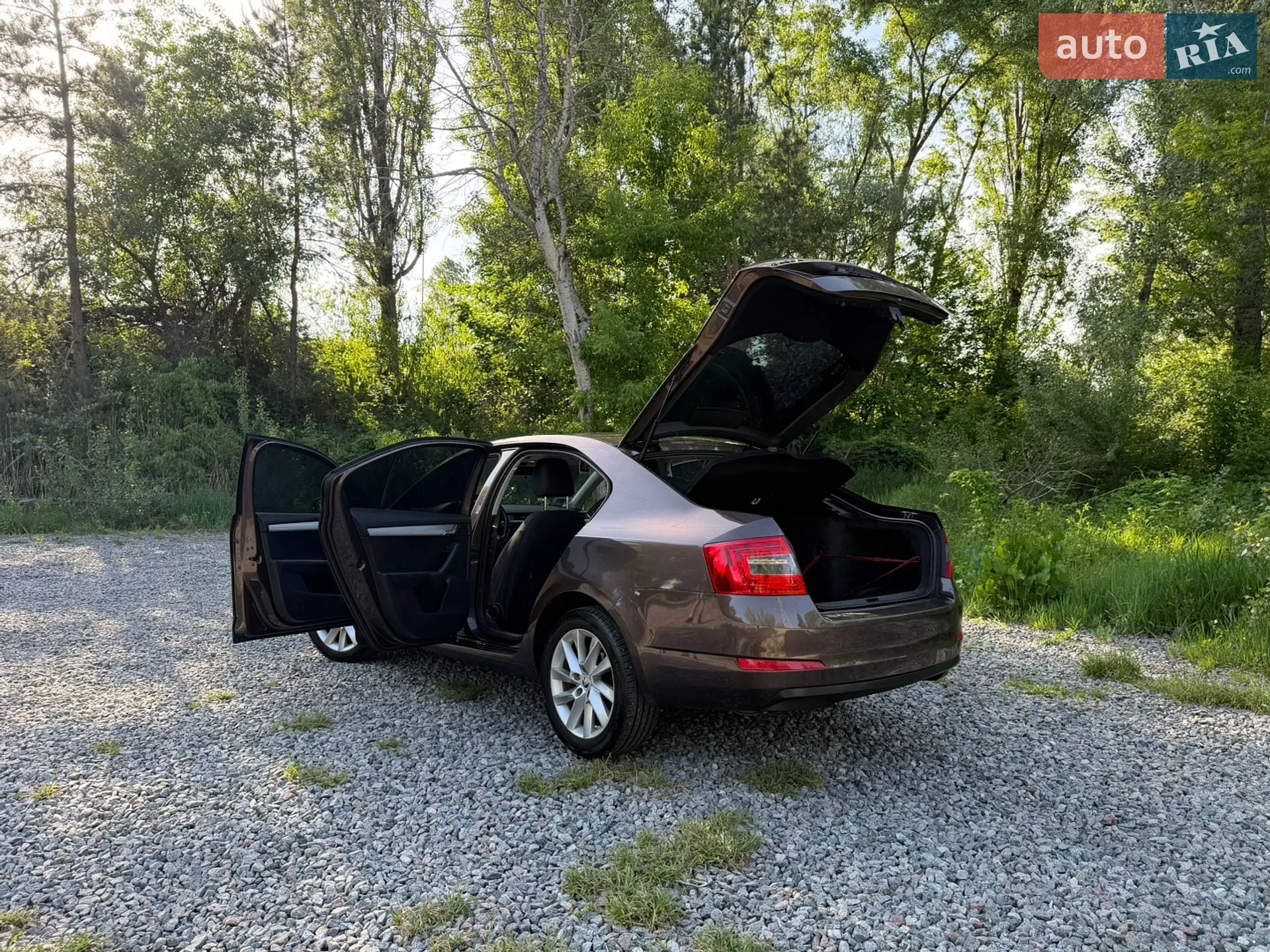 2013 Skoda Octavia - мініатюра 5
