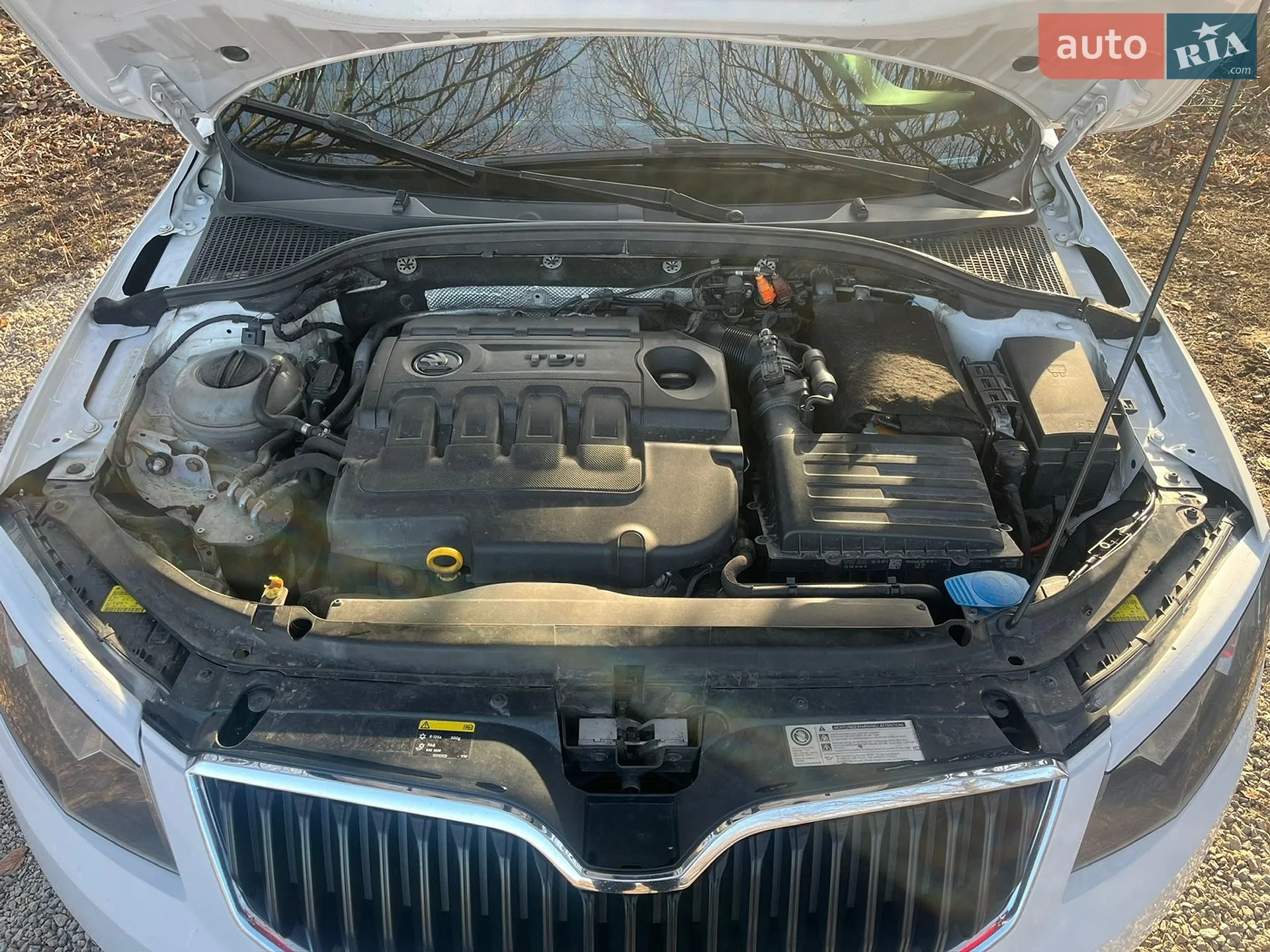 2014 Skoda Octavia - мініатюра 10