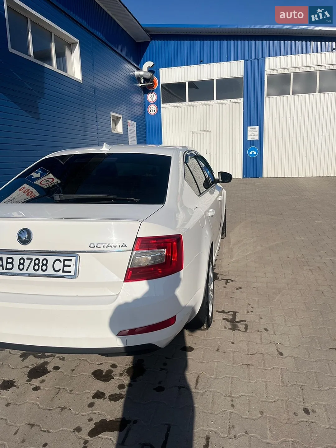 2014 Skoda Octavia - мініатюра 13