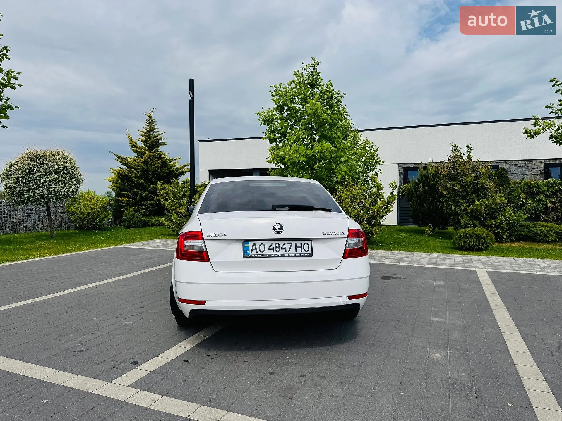 2017 Skoda Octavia - мініатюра 11
