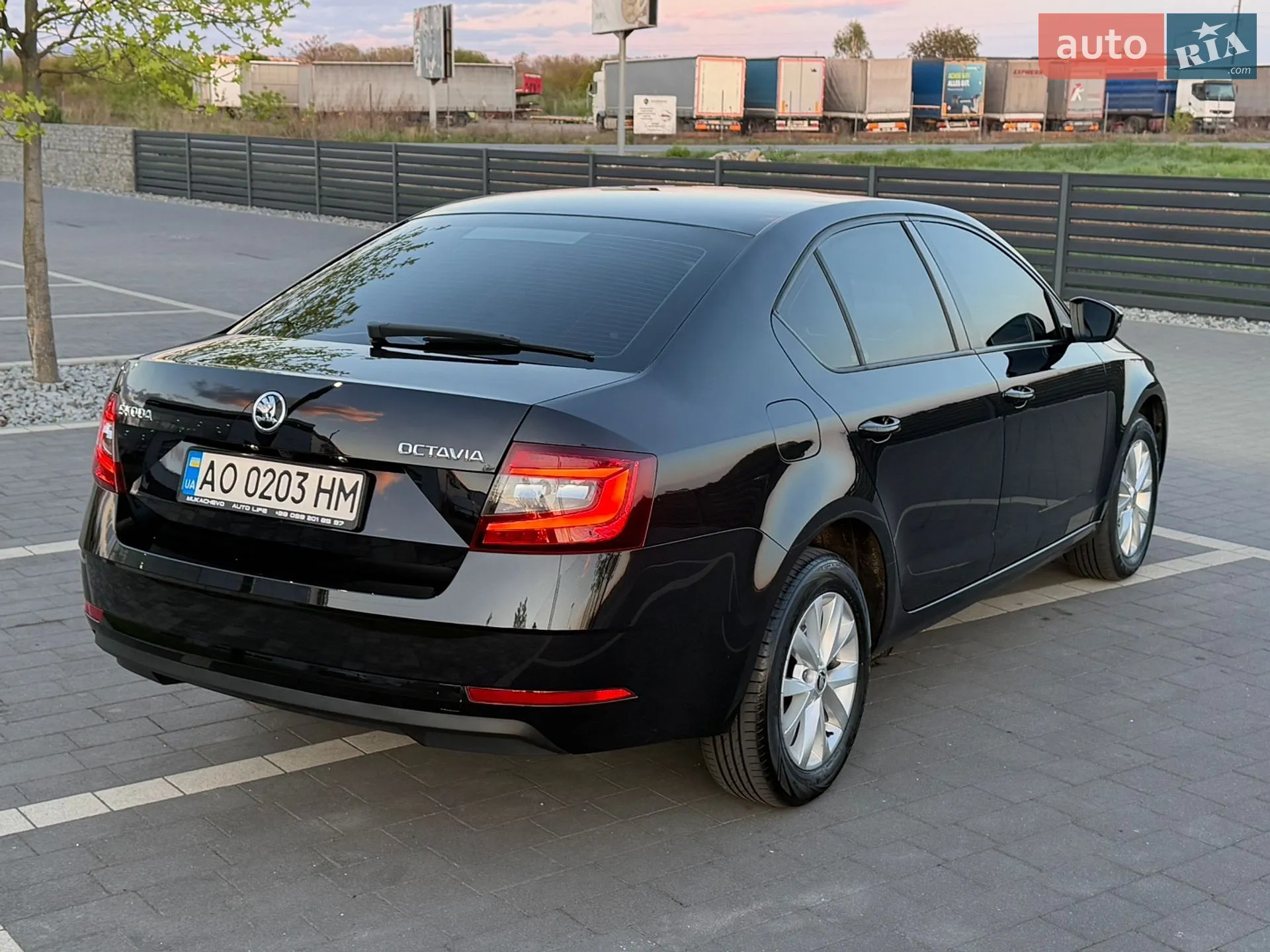 2017 Skoda Octavia - мініатюра 8