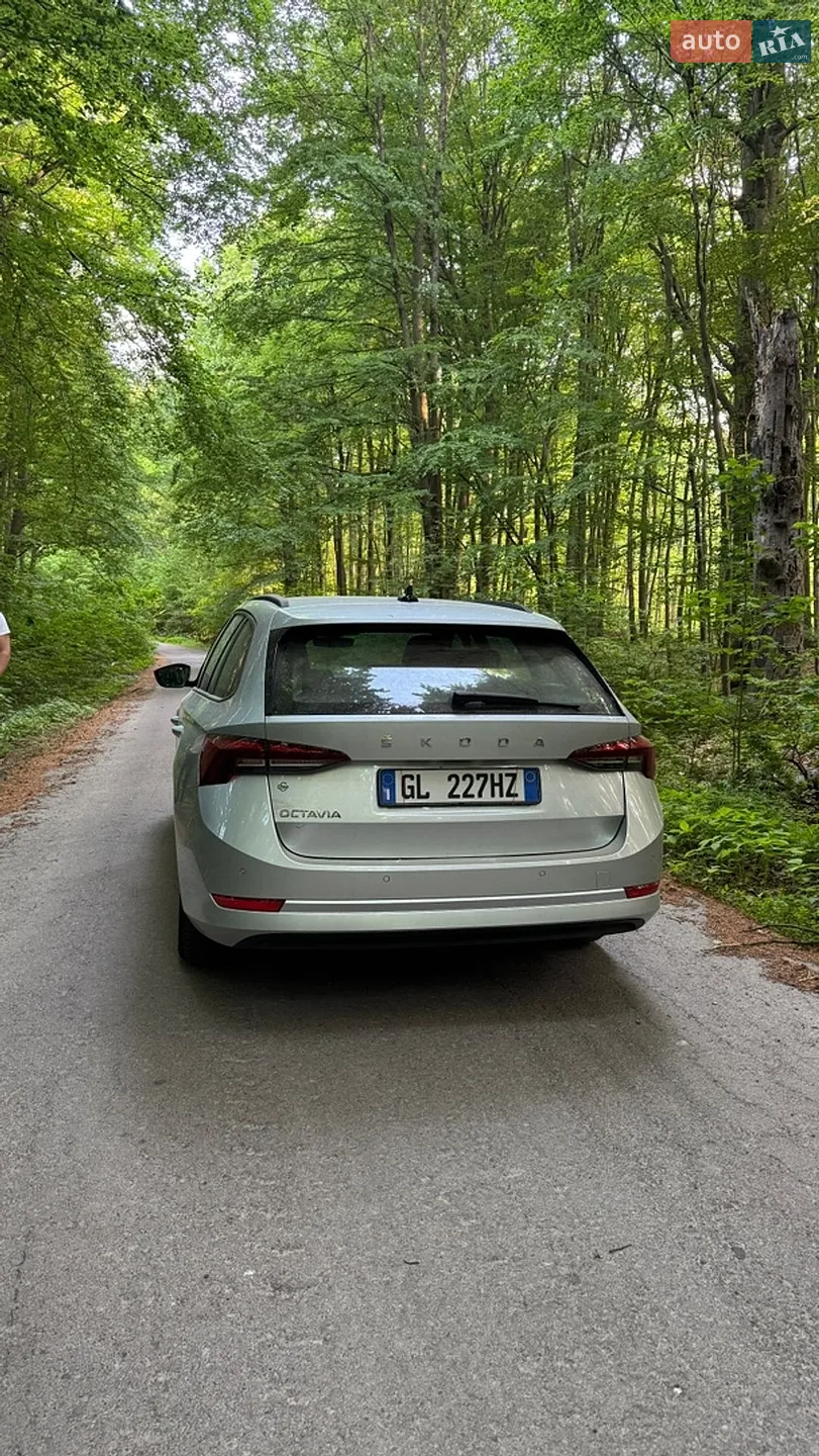2023 Skoda Octavia - мініатюра 7