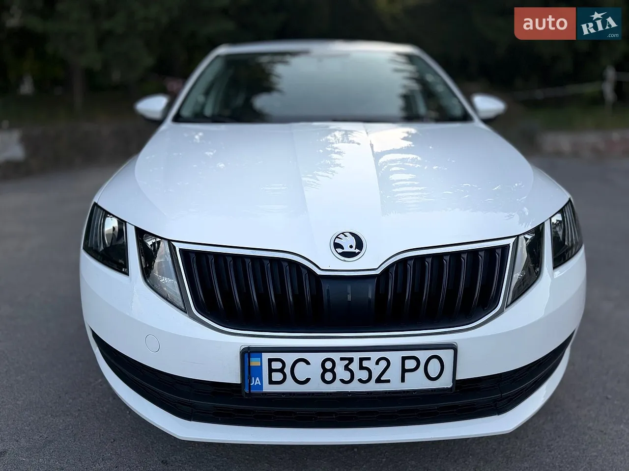2019 Skoda Octavia - мініатюра 41