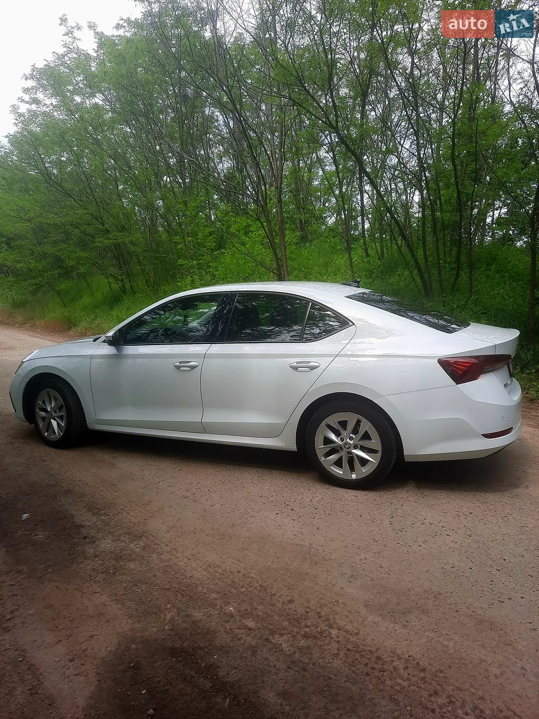2020 Skoda Octavia - мініатюра 6