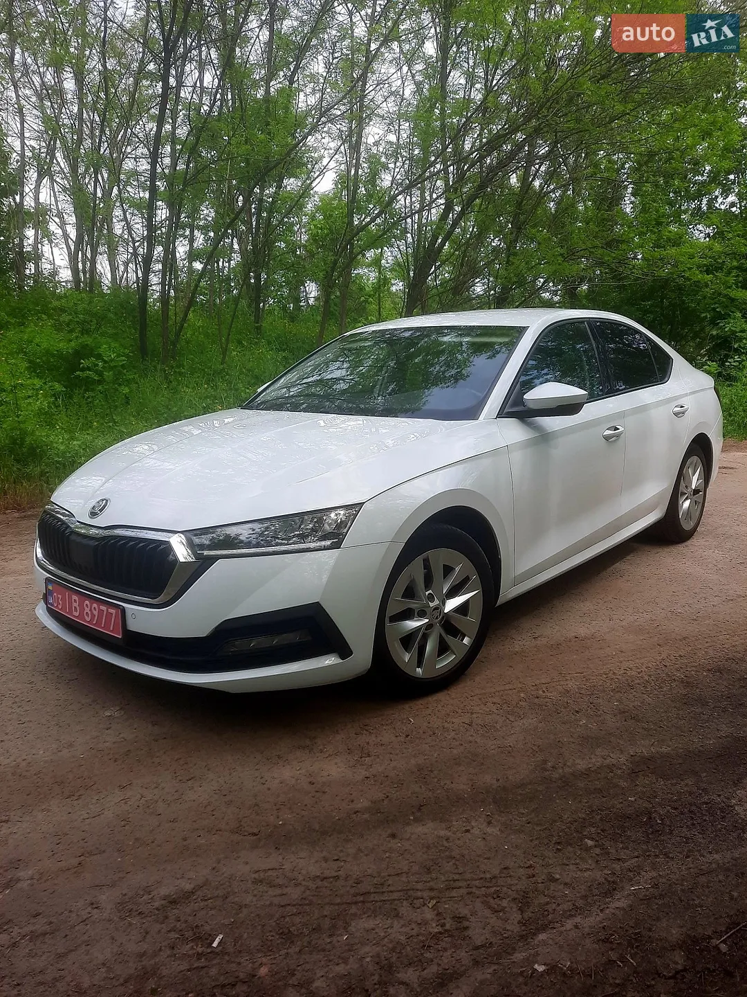 2020 Skoda Octavia - мініатюра 5