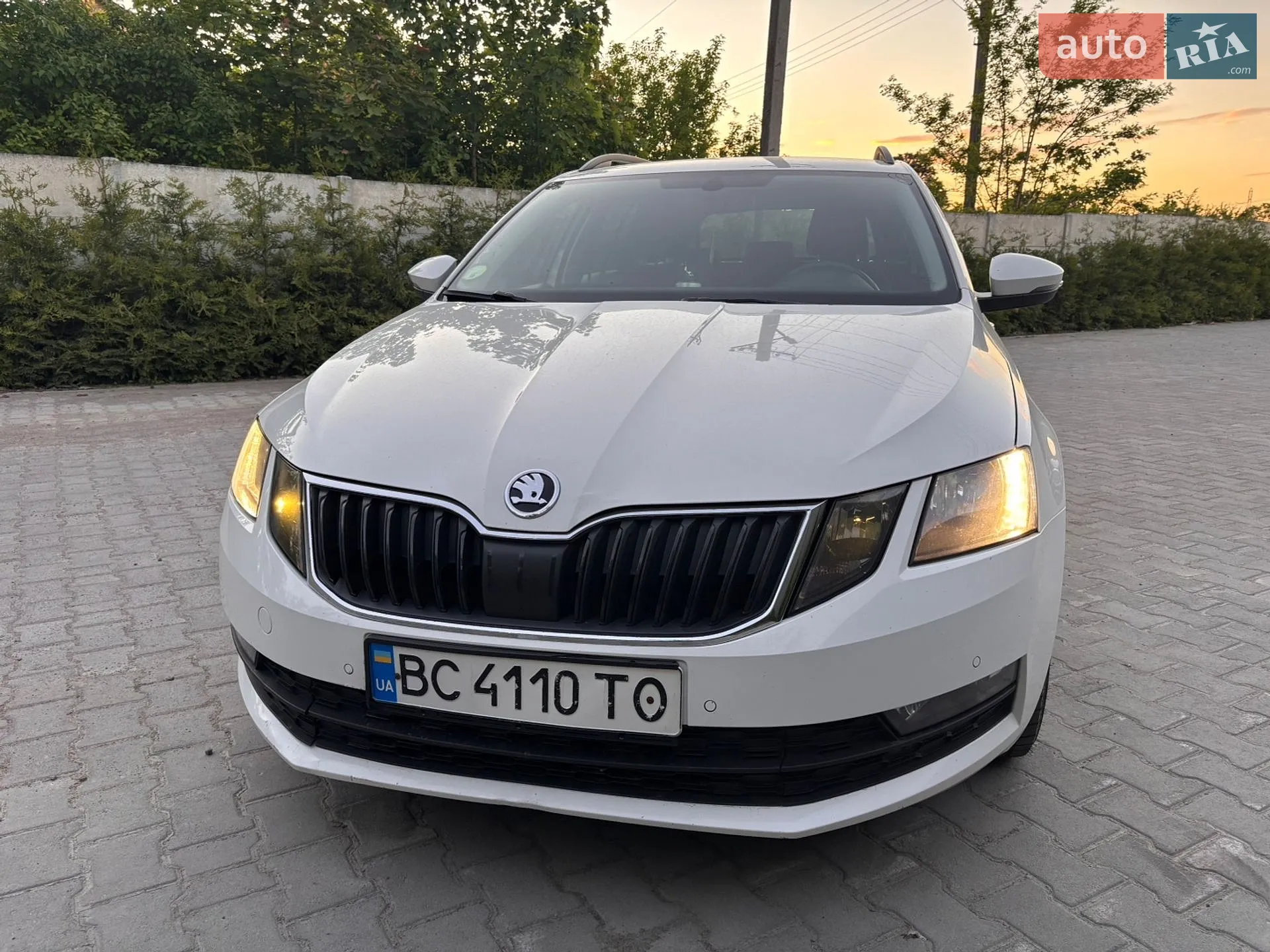 2019 Skoda Octavia - мініатюра 6