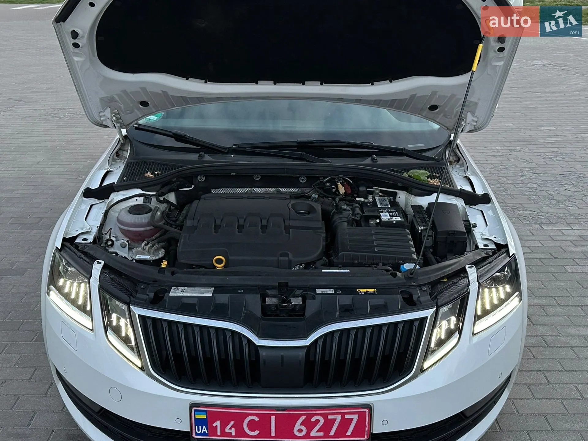 2020 Skoda Octavia - мініатюра 20