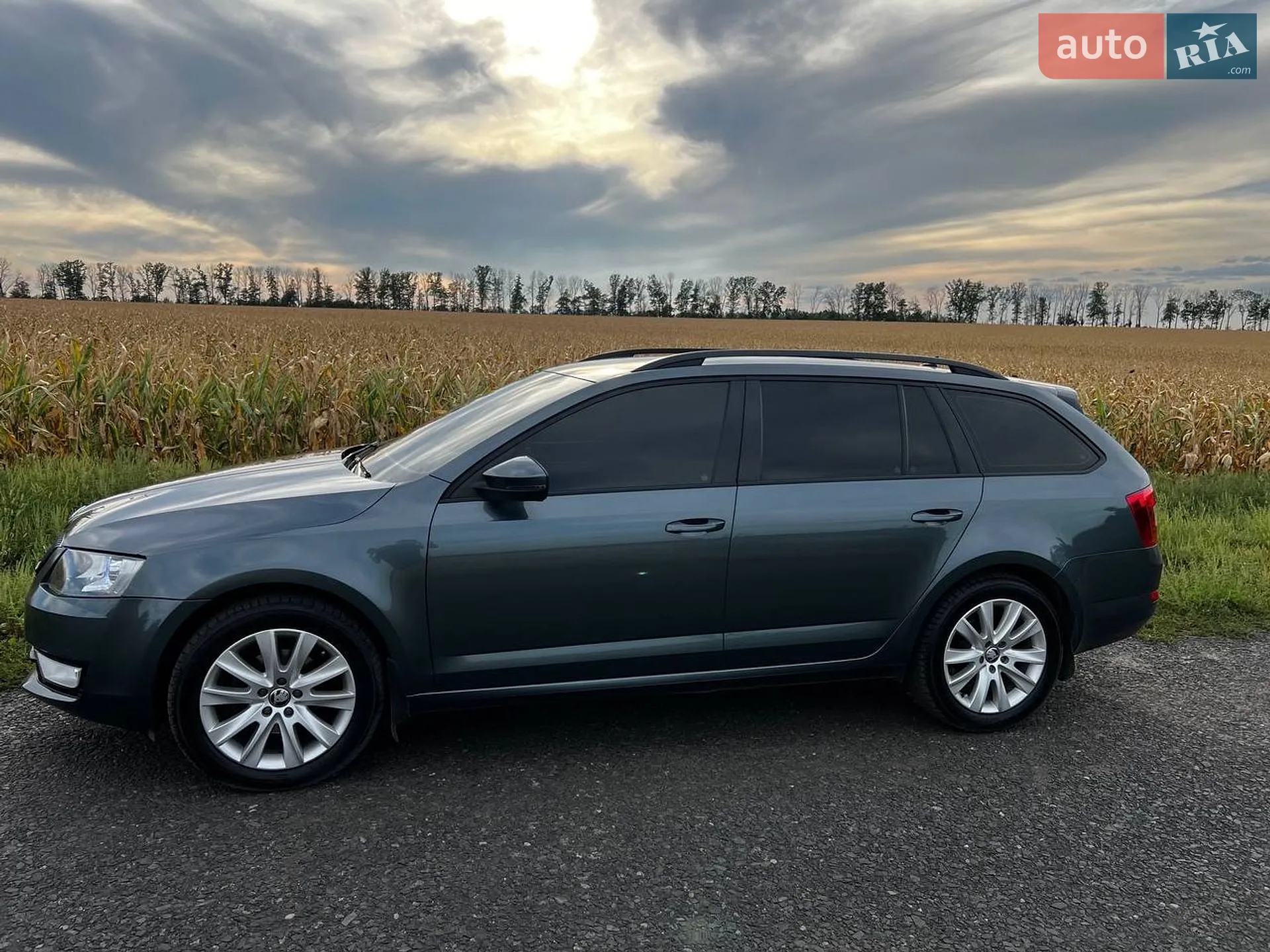 2014 Skoda Octavia - мініатюра 3