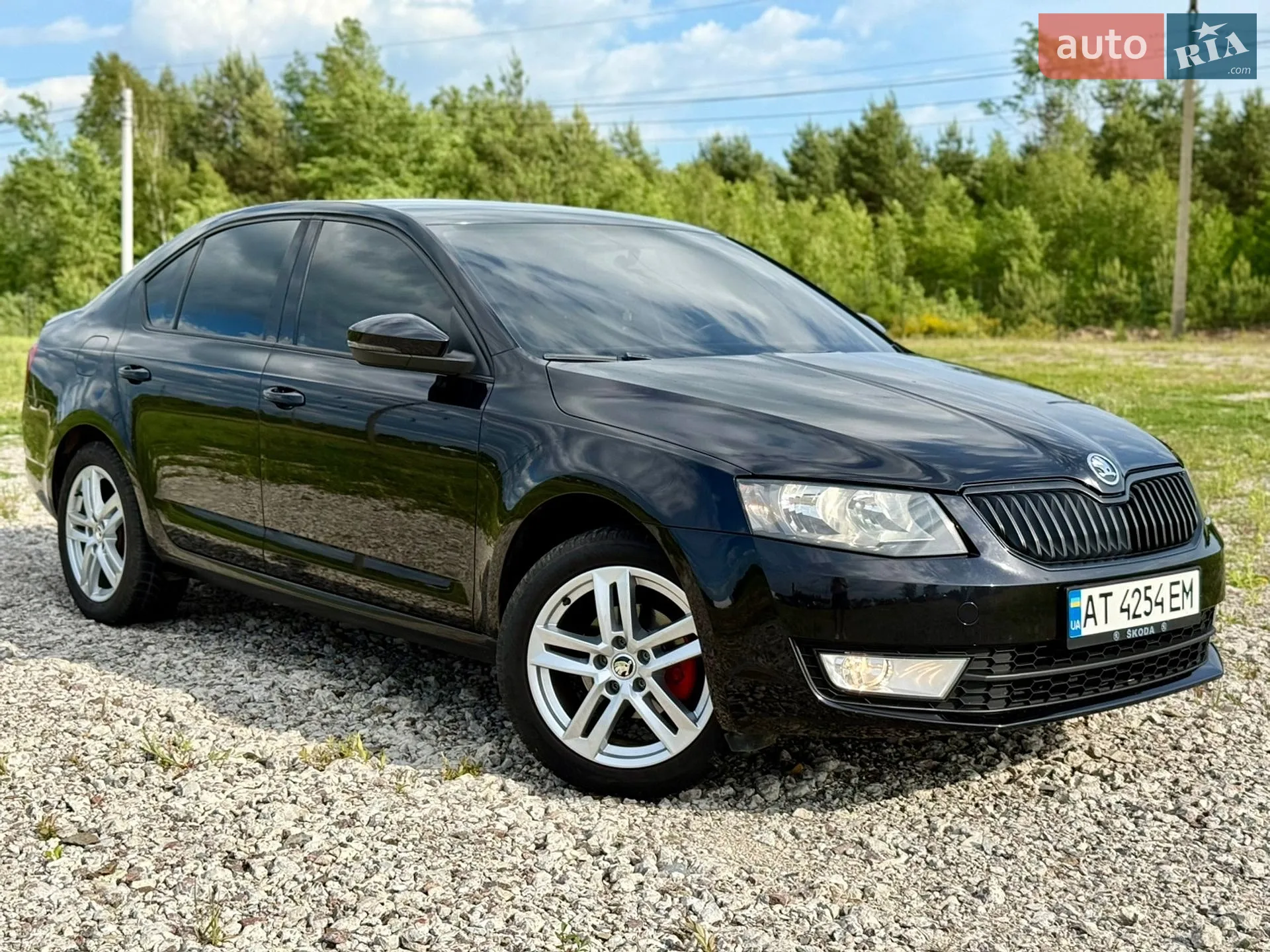 2014 Skoda Octavia - мініатюра 5