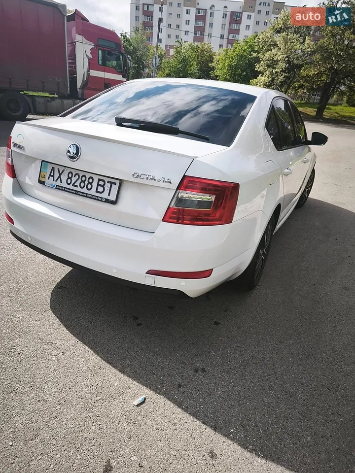 2014 Skoda Octavia - мініатюра 19