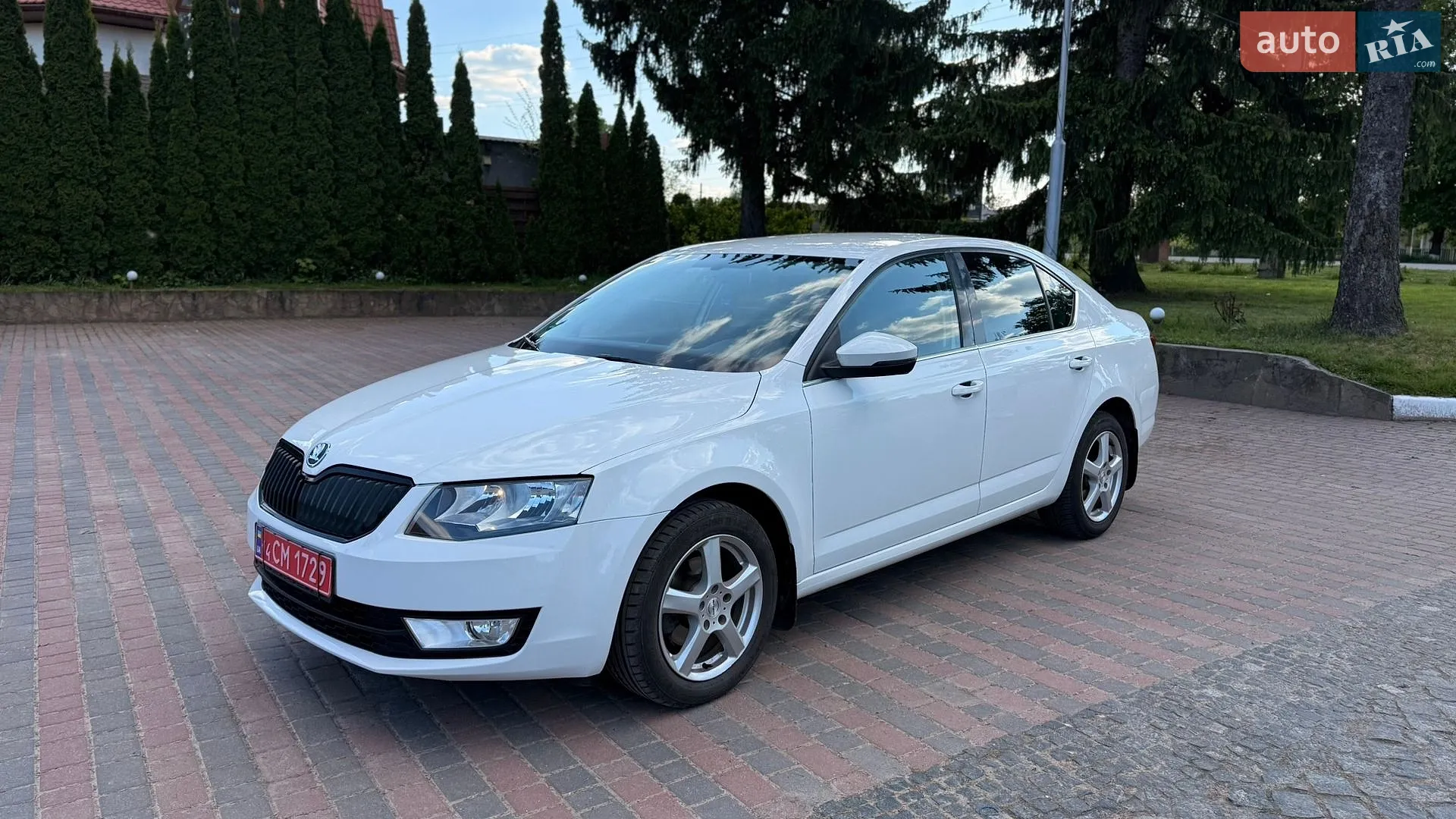 2017 Skoda Octavia - мініатюра 8